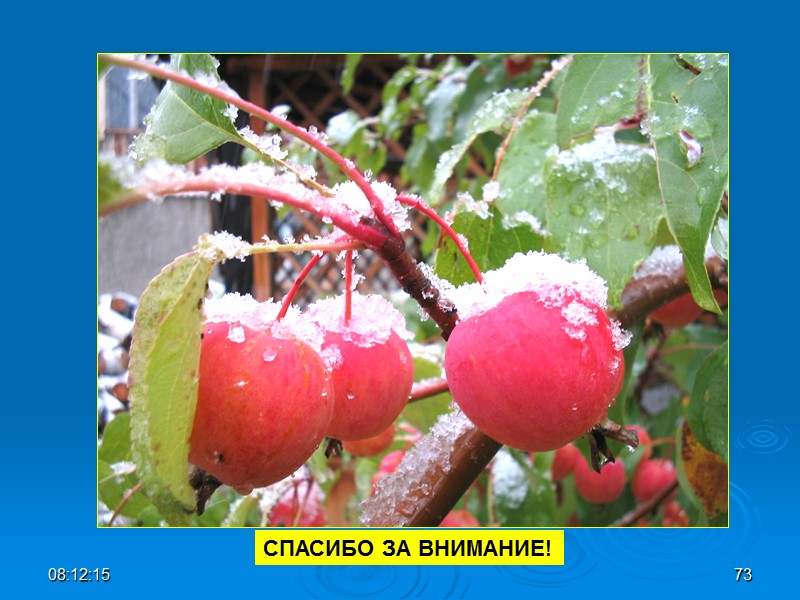 СПАСИБО ЗА ВНИМАНИЕ! 08:12:02 73